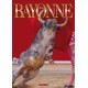 Au coeur des fêtes de Bayonne - Feria Bayonne 2012 - DVD